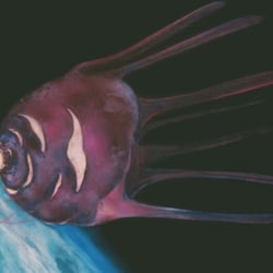 Kohlrabisputnik, Detail