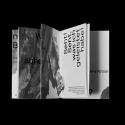 Konzeptionelles Zinedesign – Gefahrenreisen
