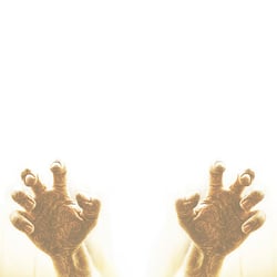 2583129079 cb4d02f68a