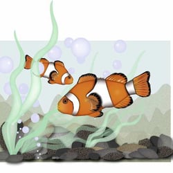 Illustator