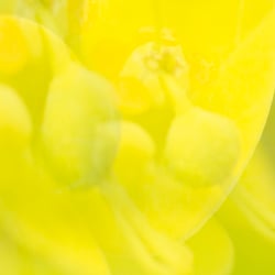 Lichtbilder neu (5 von 18)