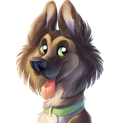 hund portrait