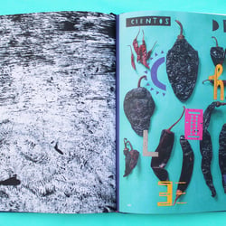 Taco Tales – illustriertes Kochbuch, Innenteil