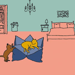 Illustration für Schnurrinchen, Katzen-Blog & Shop – im Footer der Website