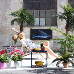 Artplants Summer