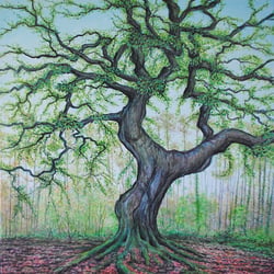 Naturdenkmal Süntelbuche Pfungstadt Seeheimer Straße / Acryl auf Leinwand