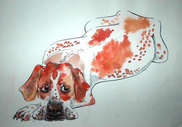 Pointer