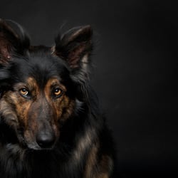 Mix