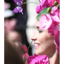 Festa do Flor