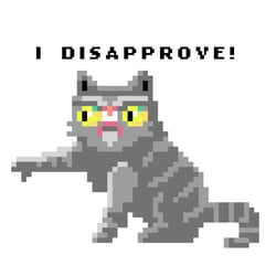I dissaprove