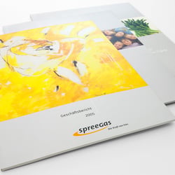 Jahresgeschäftsberichte für die SpreeGas GmbH
