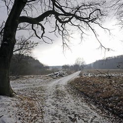www.danneffel.de 2009 122