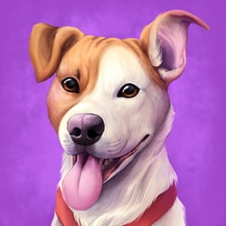 Pitbull Mix