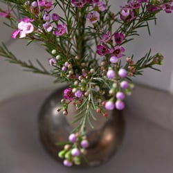 Interior Styling: Cocooning