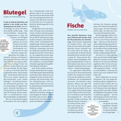 Kleine Helfer, Illustration und Layout für healthy living