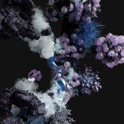2 black from Vera flora clouds v05 freeplants abstract
