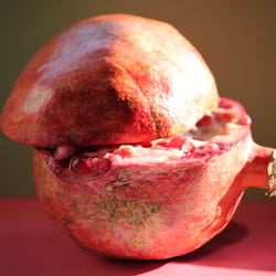 Granatapfel November 2012