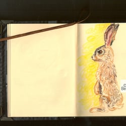 Comic Realistic Hase