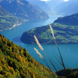 Erscheinungsbild für die Rigi Reisen aus Vitznau LU
