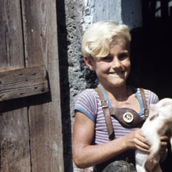 Schwein gehabt