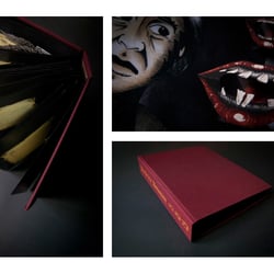 „Berenice“ // A Pop-Up Novel