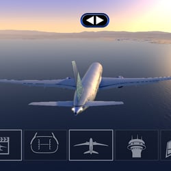 In game view (Android)