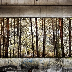 Beelitz Heilstätten – Bilderrahmen