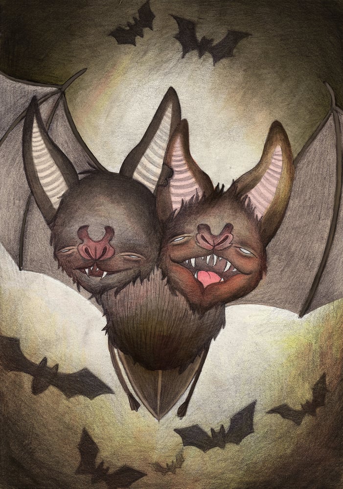 bats colour hq