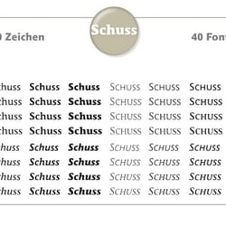schuss 004