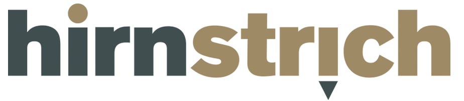 www.hirnstrich.de