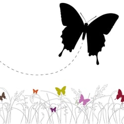 butterflies