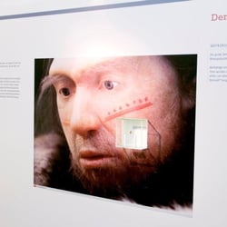 Der älteste Backenzahn