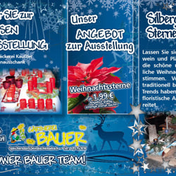 Gärtnerei Bauer – Adventsausstellung – Flyer 02