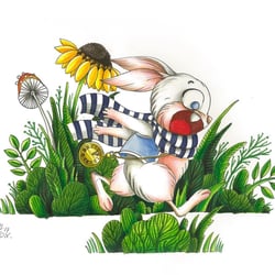 White Rabbit 01
