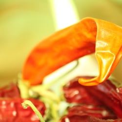 Peperoni Red…03