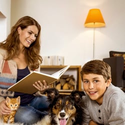 Lifestyle/ Advertising