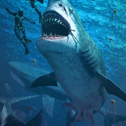 Megalodon