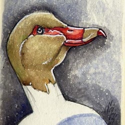 Taxidermy-10