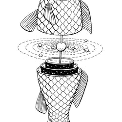 universe fish