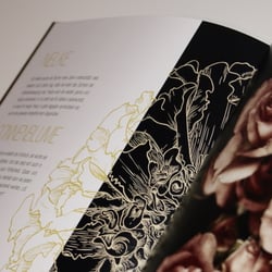 Vitam Designmagazin