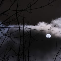 Winternacht