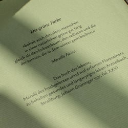 Rückseite