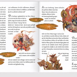 Buchlayout
