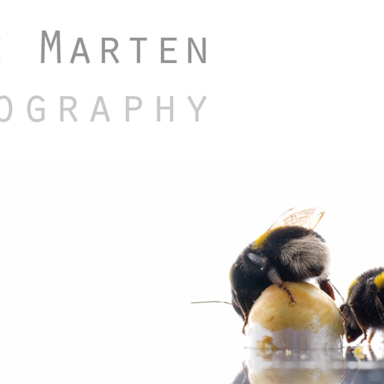 Lasse Marten Kling
