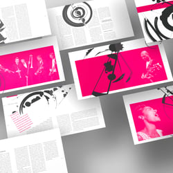 diongrafik Seite 30