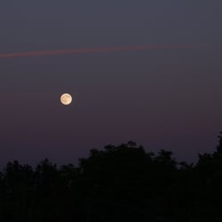 Moon – Jun. 2014 © by Dina.T
