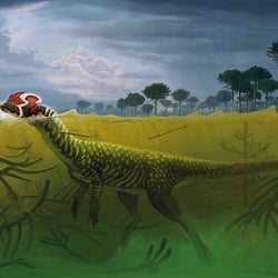 Dilophosaurus after the storm