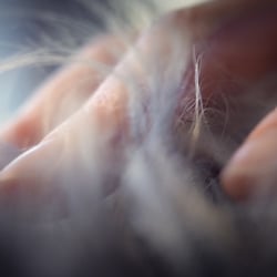Niehues – Quelle des Wohlbefindens