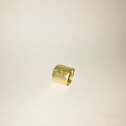 IMG 0290