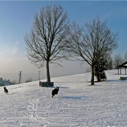 Winterlandschaft 1740195k